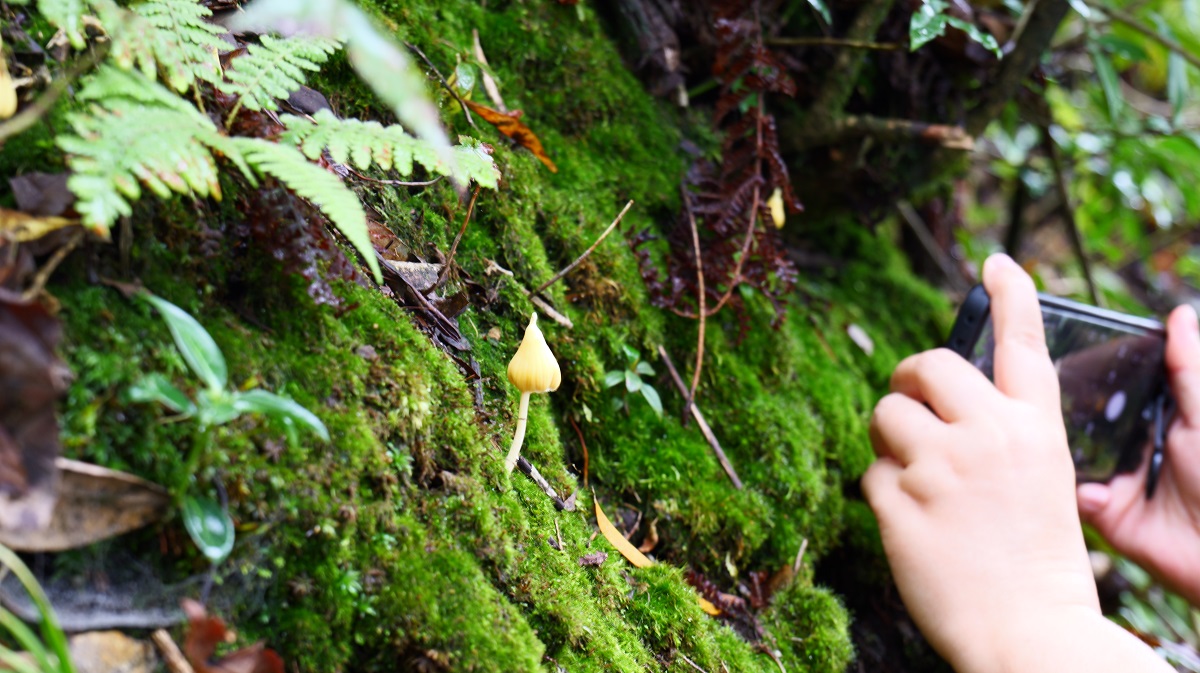 1758966732901792.jpg 81a27eec07c365604e30ec045a5c731.jpg