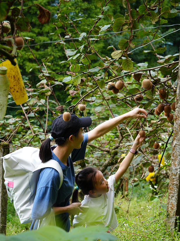 1760074824149728.png image.png