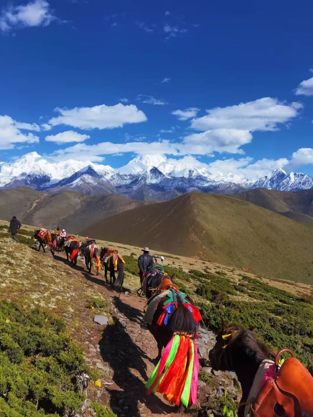 1760084814130684.jpg a17fdf9e52aca11242333435f14818c.jpg