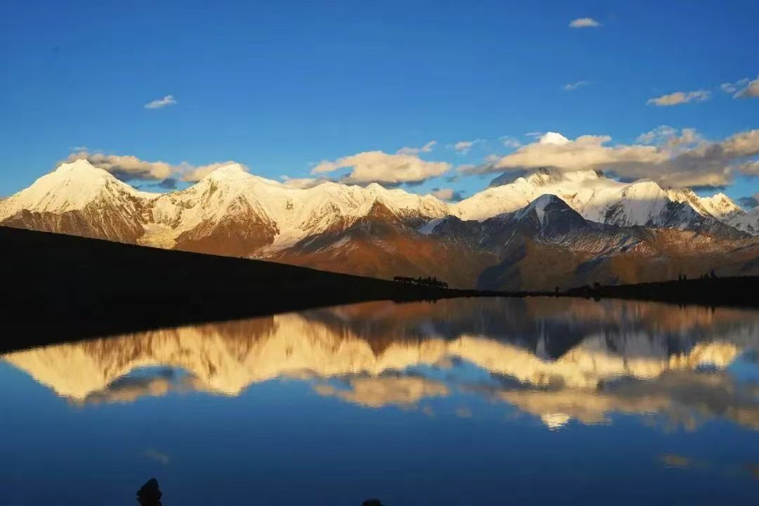 1760084832205356.jpg 50702ff5517ad6ae15b77ff90f7b07b.jpg