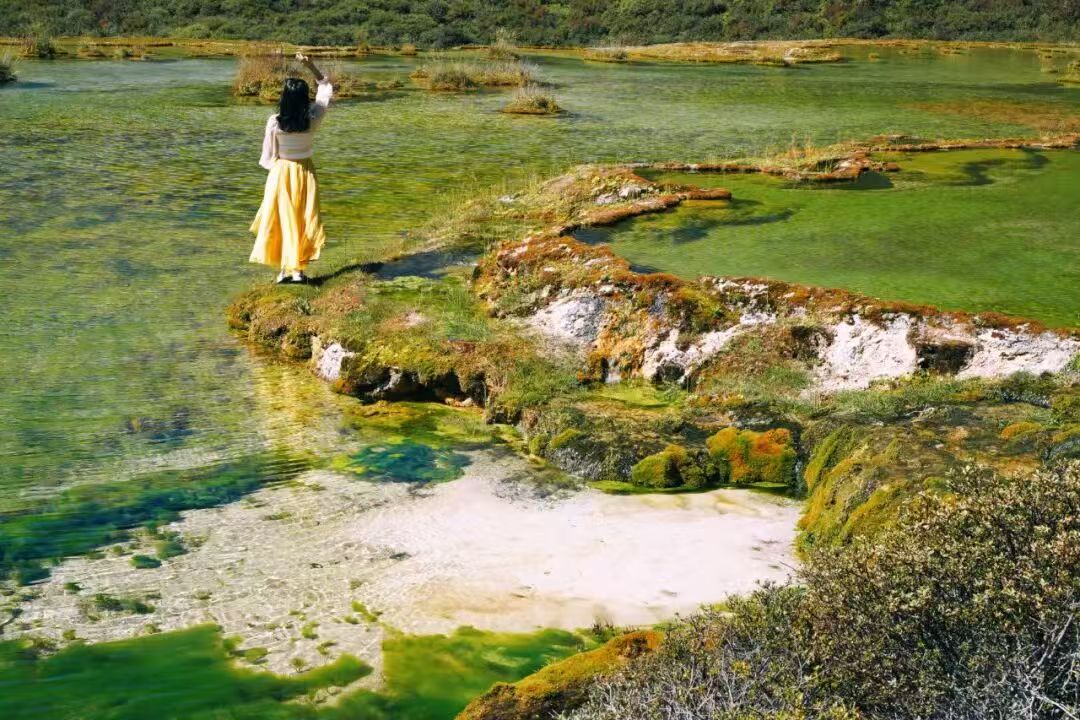 1760084946950586.jpg a167f1169314fd6d4fb48a2bae502c6.jpg