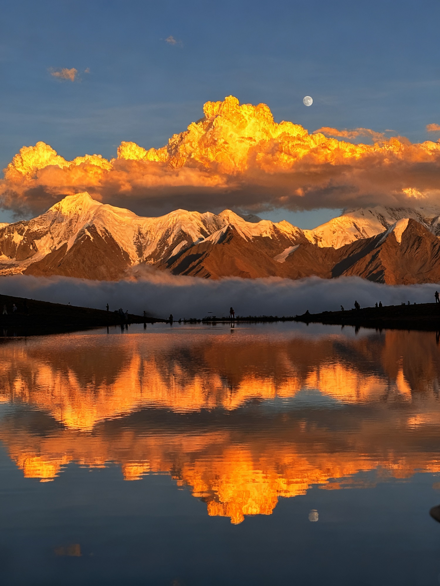 1760085089808701.jpg c0003e14ed3ec825da28eff617d757b.jpg