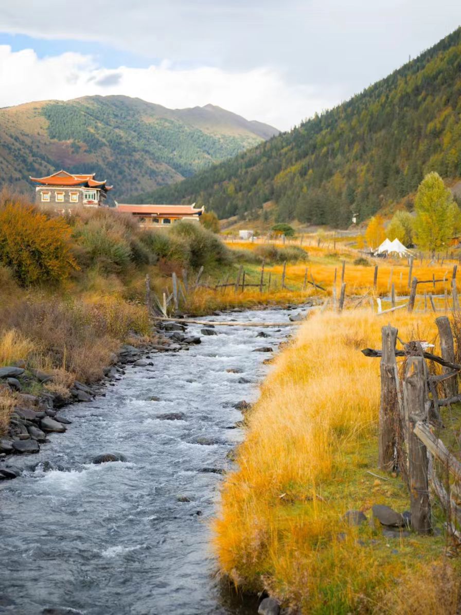 1760085555223319.jpg 2c036bd7adb7ead4f82ee6abcbfcc62.jpg