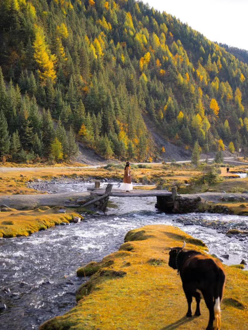 1760085689986909.jpg 083febebde0f08ba21965295776c1de.jpg