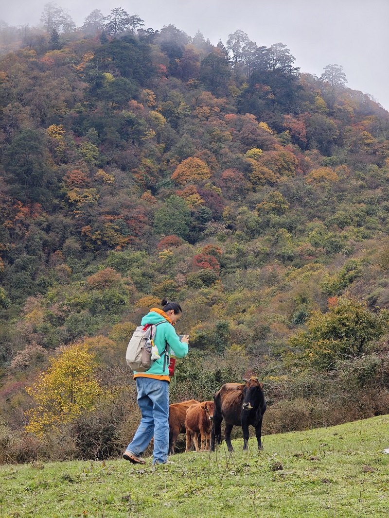 1761727344960707.jpg 4a8123fced2904aceed7713e1170bf1.jpg