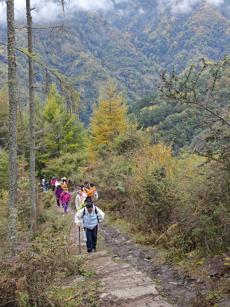 1761727350829110.jpg 07be185d6212ad4f3e9d359c89e2d43.jpg