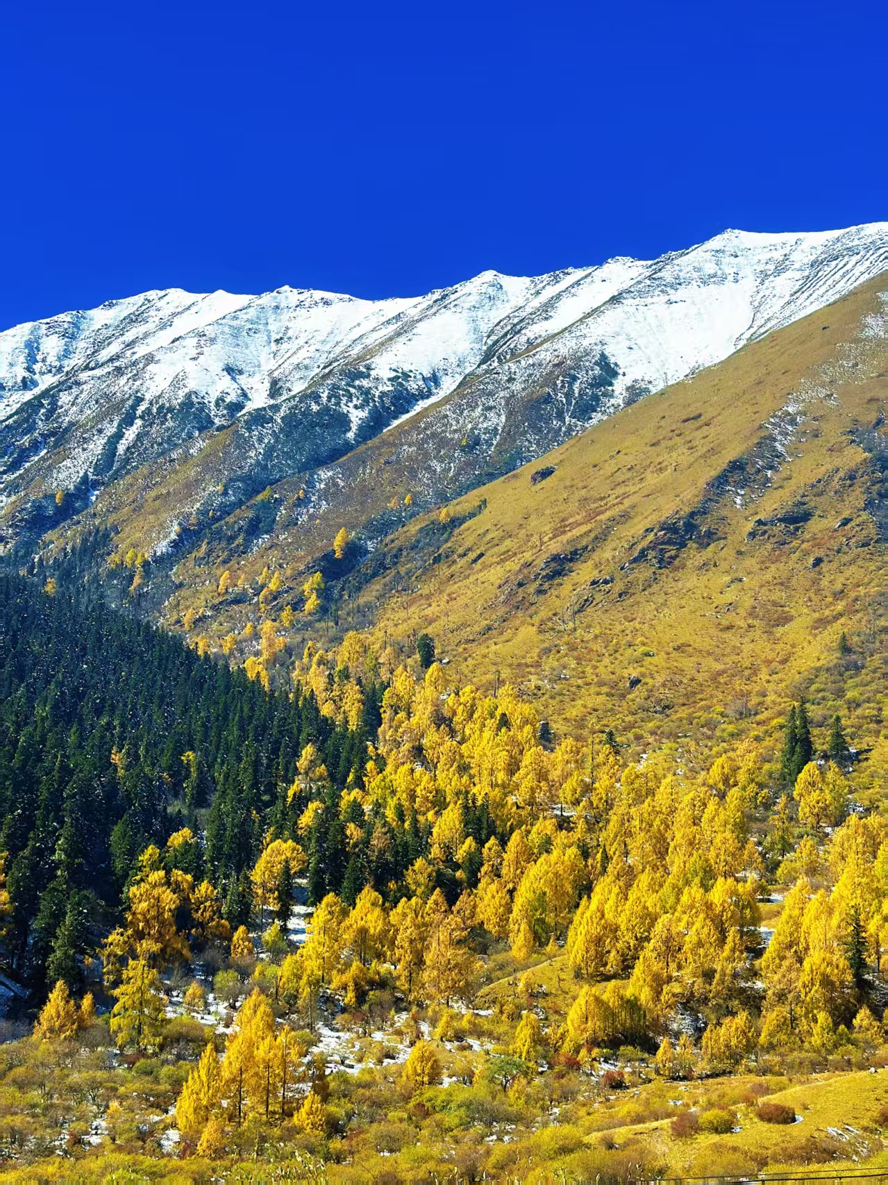 1761804553399733.jpg 微信图片_20251030140820.jpg