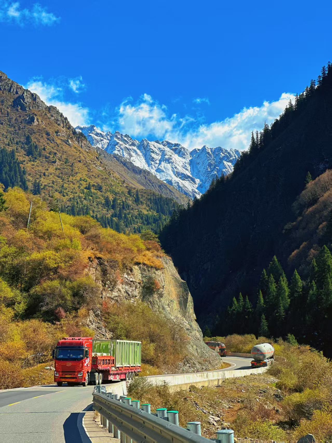 1761804556833886.jpg 微信图片_20251030140828.jpg