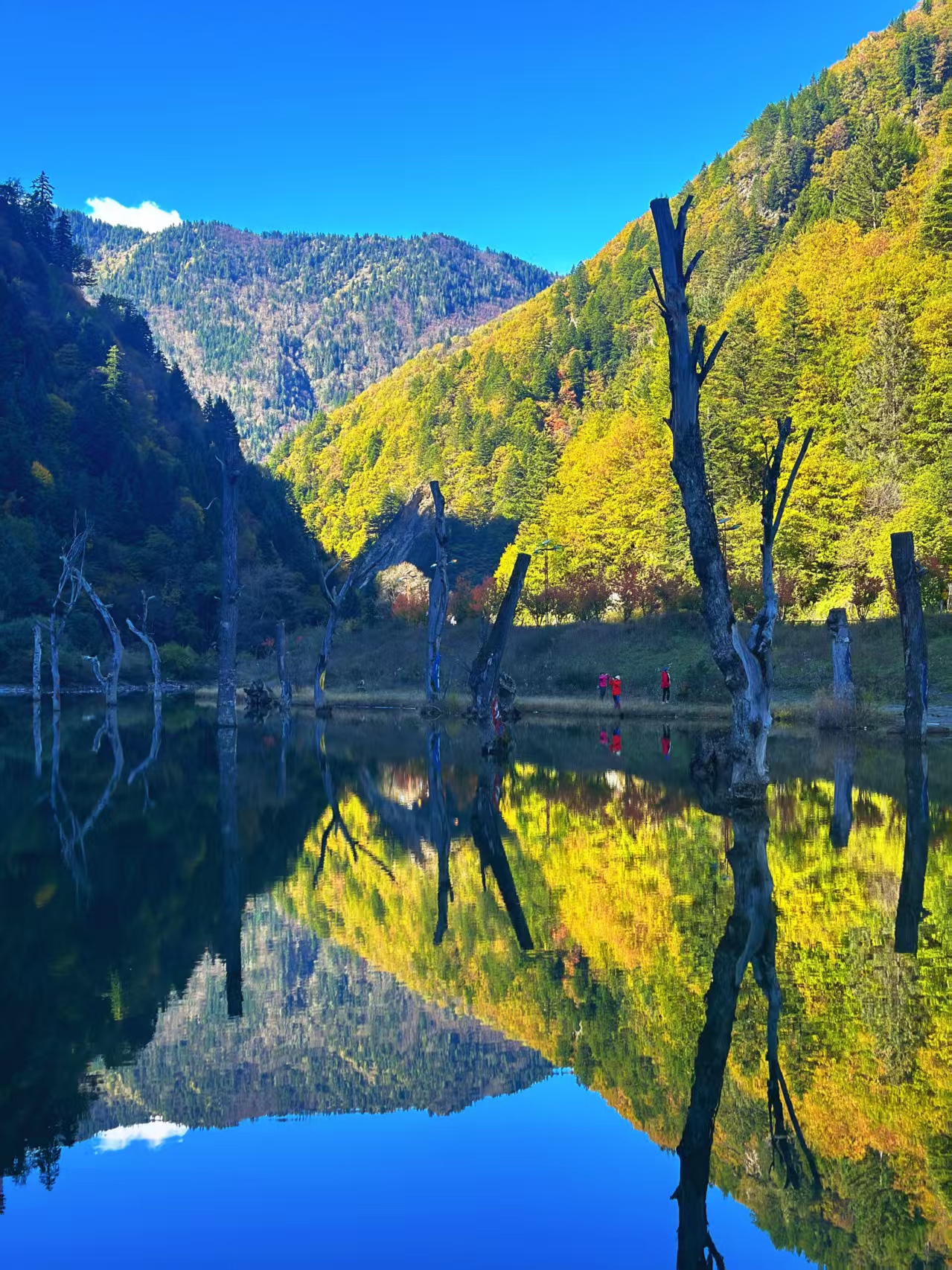 1761804559746413.jpg 微信图片_20251030140831.jpg