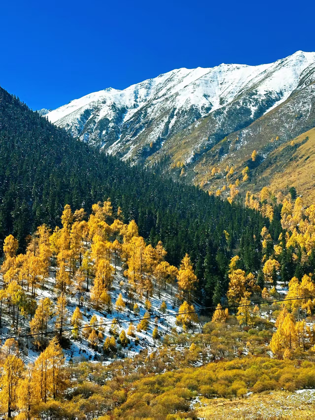 1761804561652697.jpg 微信图片_20251030140833.jpg