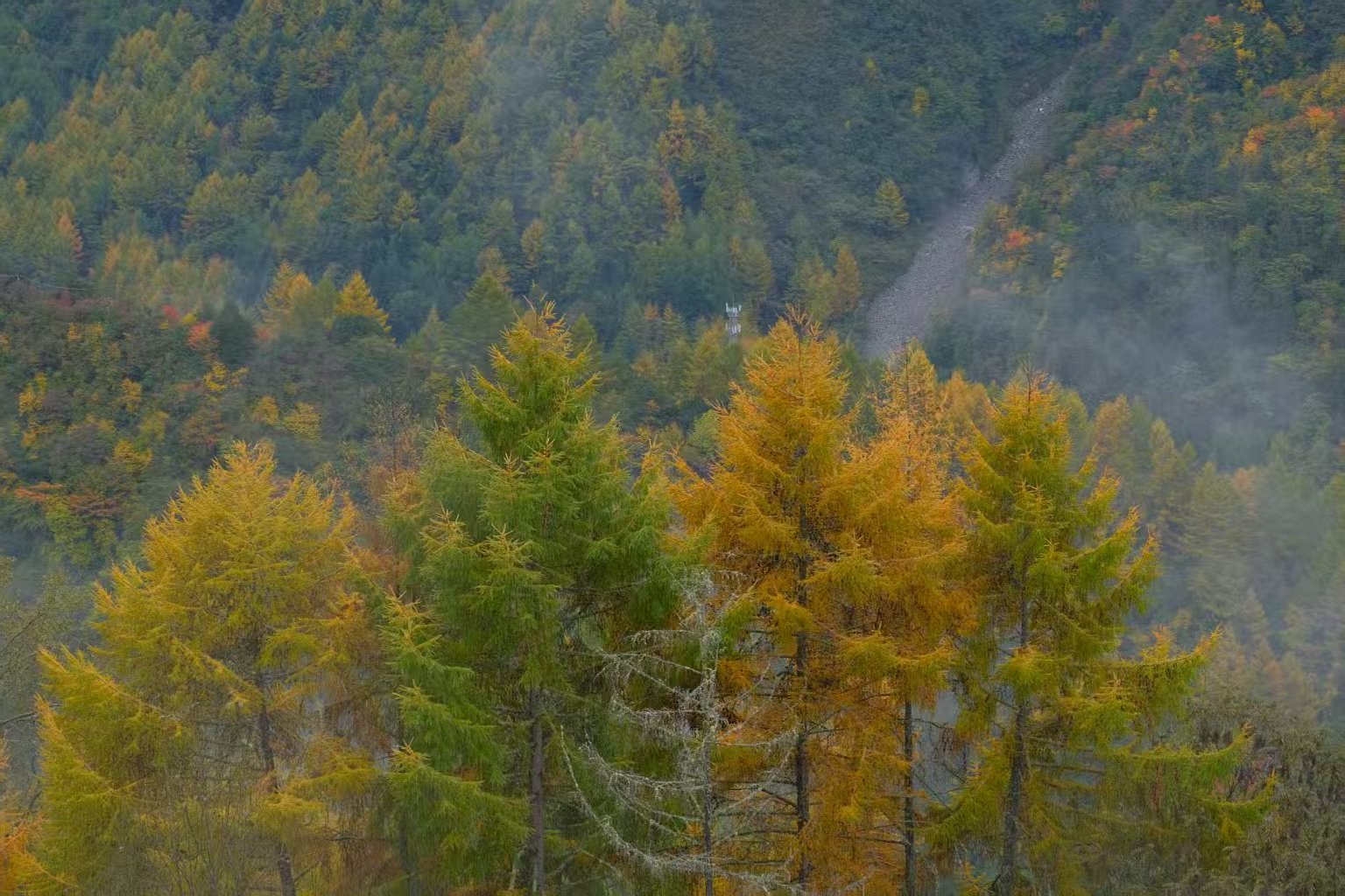 1762053014155113.jpg 微信图片_20251102110916.jpg