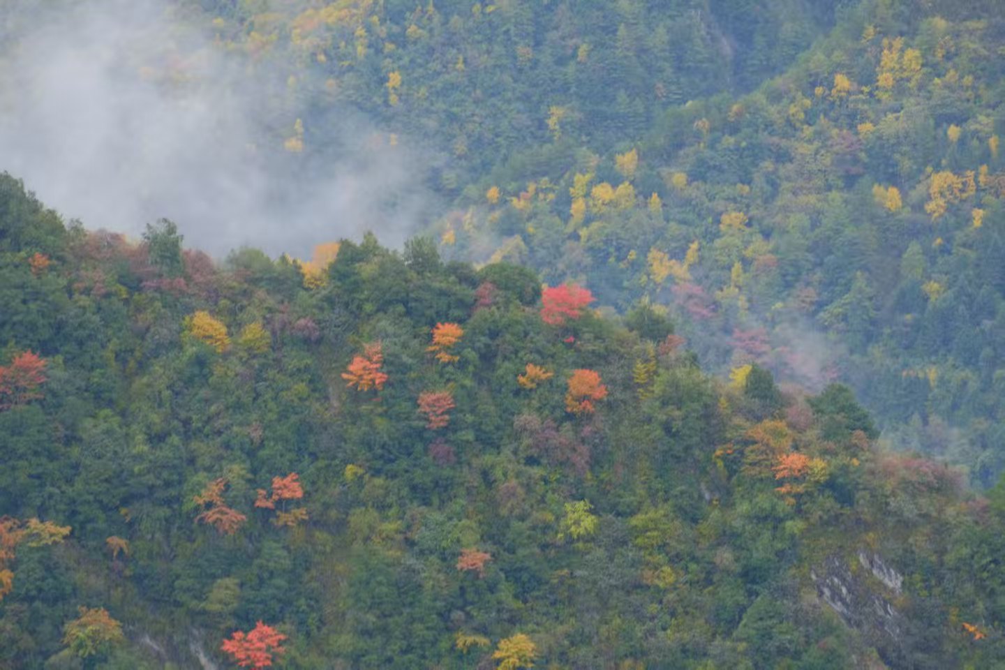 1762053016225180.jpg 微信图片_20251102110907.jpg