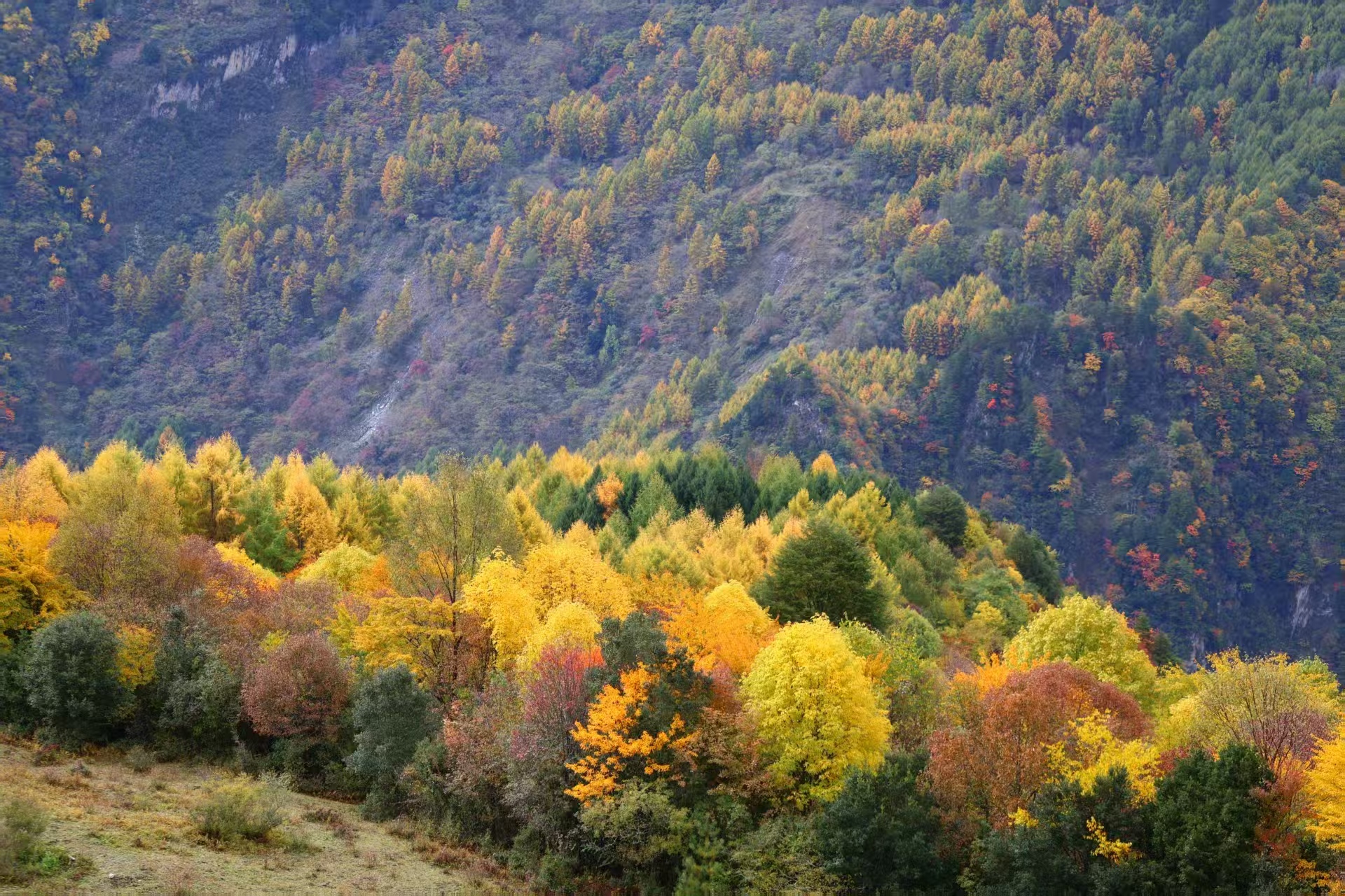 1762053270440634.jpg 微信图片_20251102111229.jpg