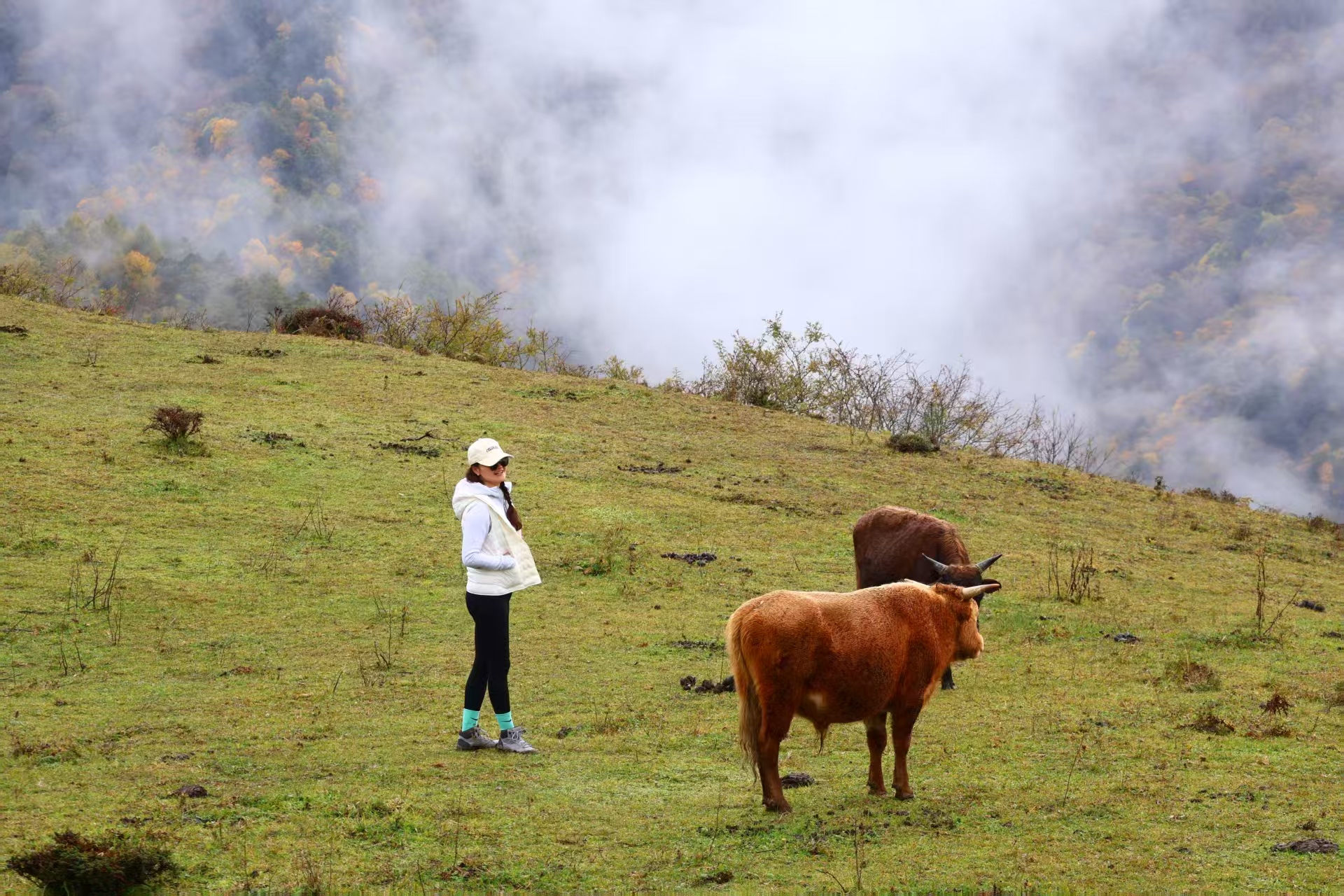 1762053273990146.jpg 微信图片_20251102111216.jpg