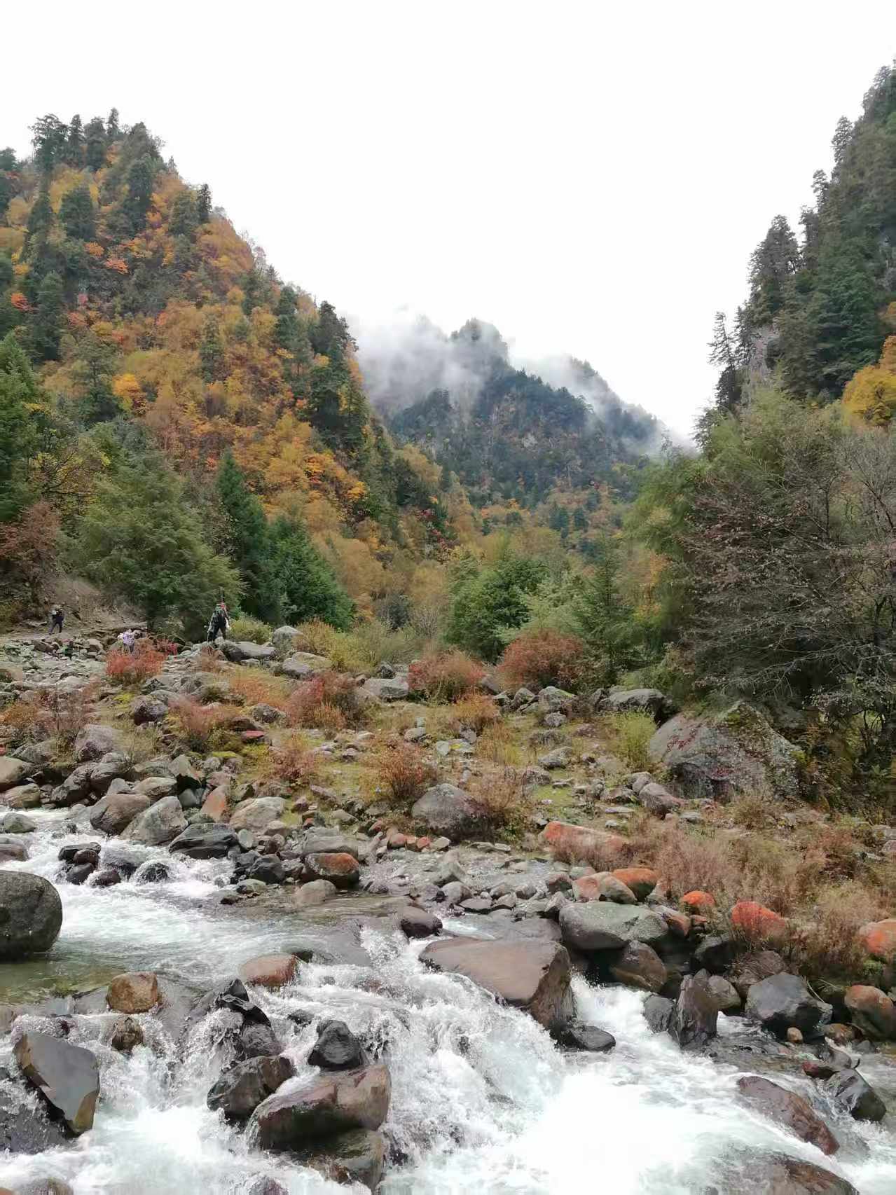 1762053360118860.jpg 微信图片_20251102111338.jpg