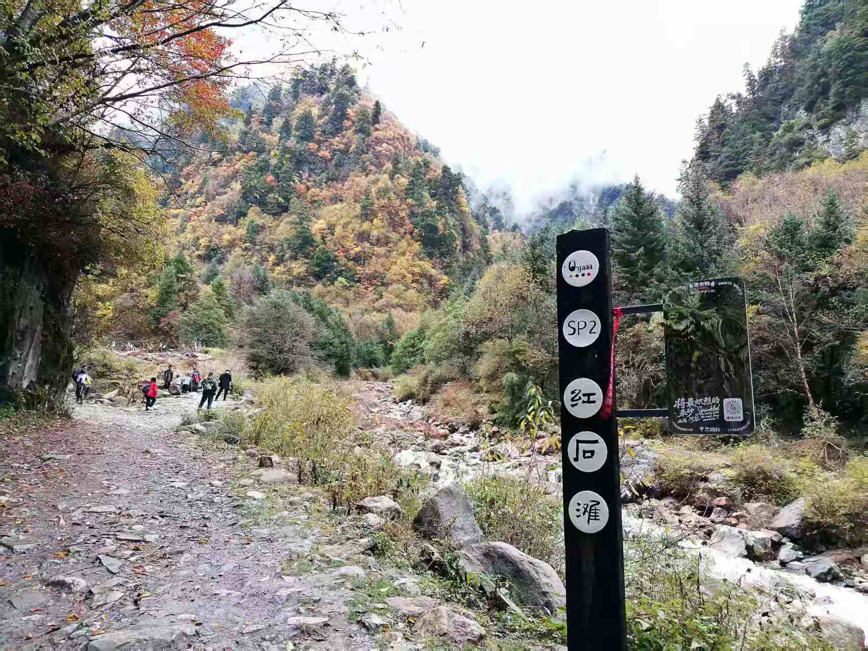 1762053362310407.jpg 微信图片_20251102111336.jpg