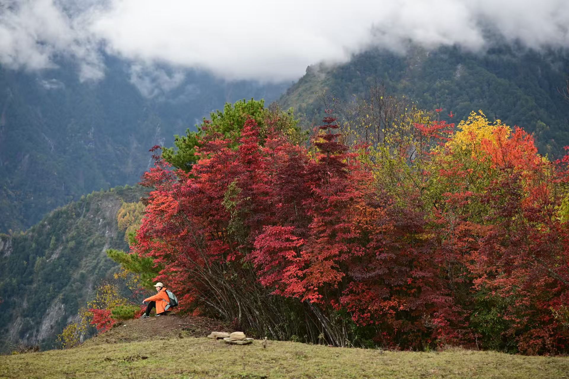 1762137059702615.jpg 0701f557802dab677d0aa6611bdfd36.jpg