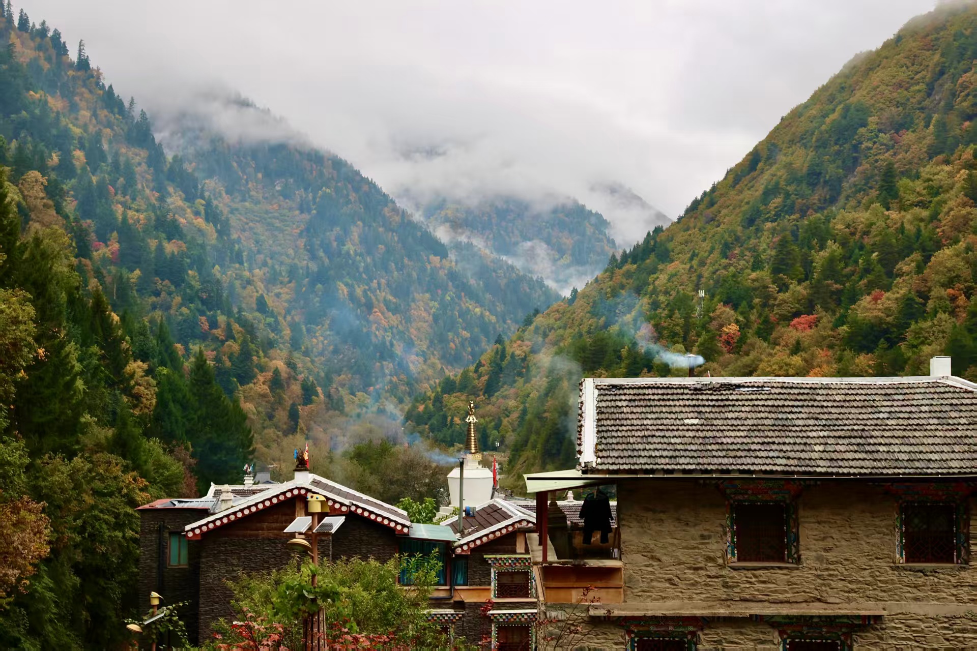 1762138249182862.jpg 9067689d9c59a1539c92b5e1043963e.jpg