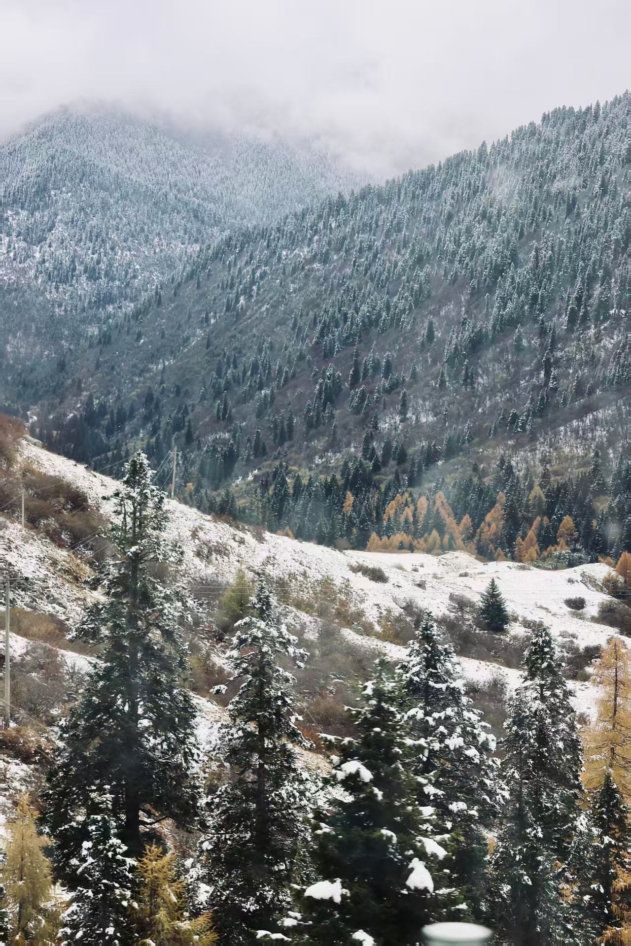 1762138264981110.jpg a7d7ea205db300417f689b12d878bd4.jpg