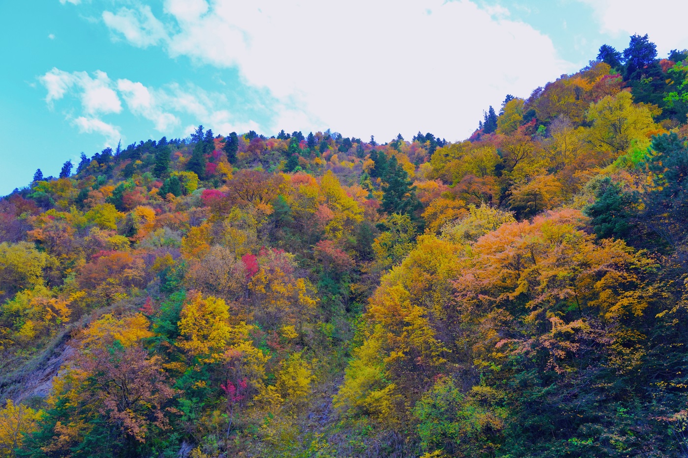 1762747617890296.jpg 48a4e2b7d1b5cfdd319f6dea8fe01b2.jpg