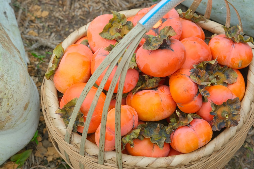 1762938978392151.jpg 859a32ca89dfbf47d5451f852864563.jpg