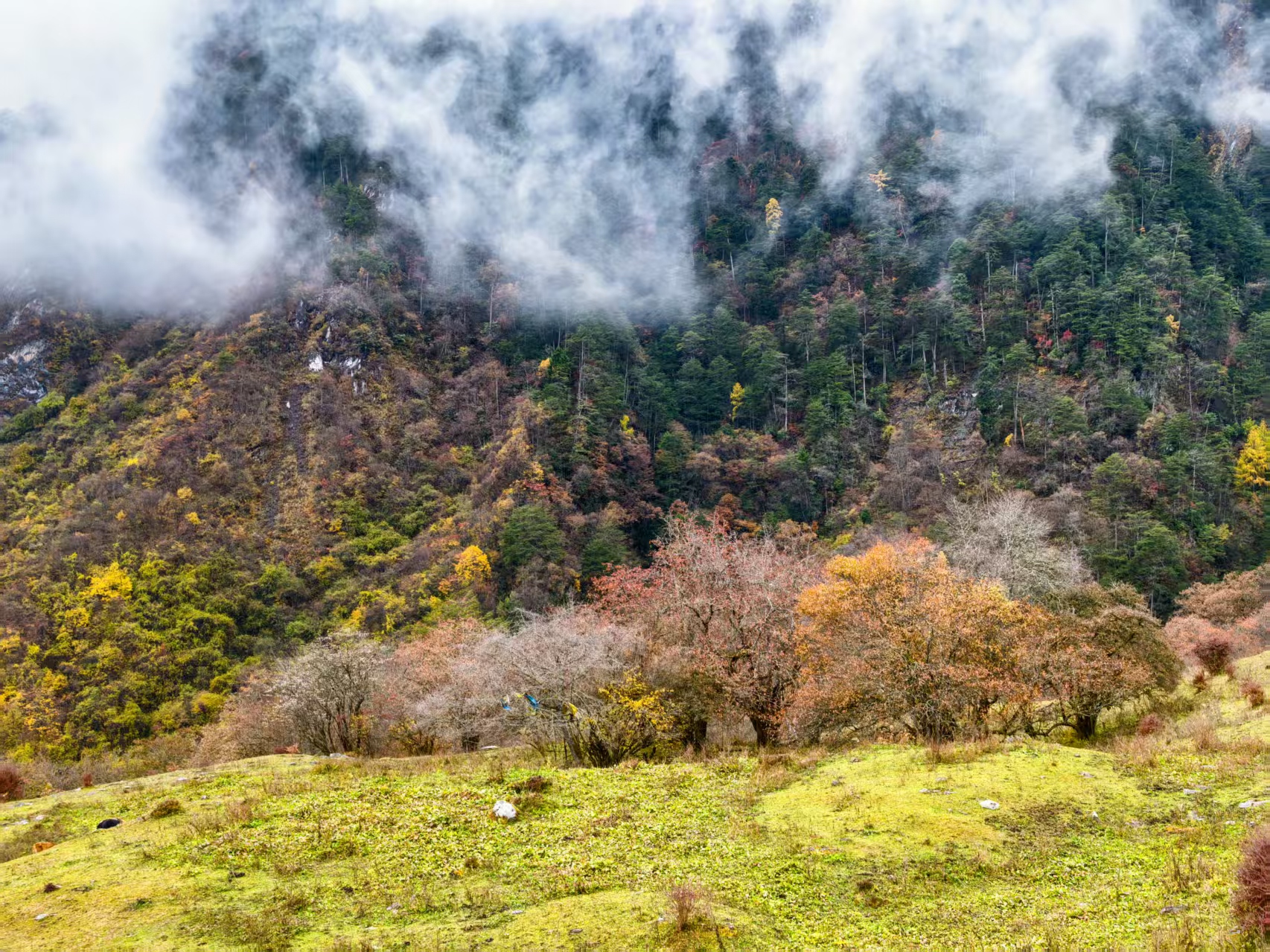 1762998192953471.jpg 4c53966e8fccaee728eed9e12eca892.jpg