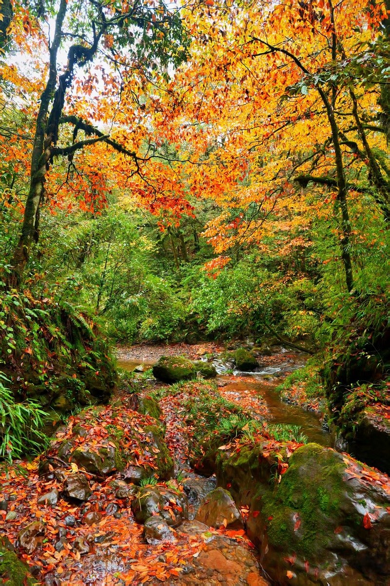 1763002386111224.jpg 907cc805e213dd062ee527ce6ca52fd.jpg