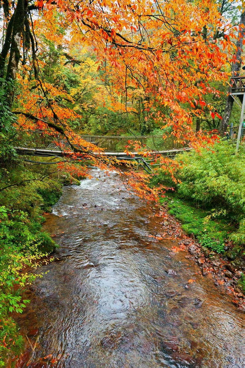 1763002403117727.jpg 379108482de83bbc4fd5bf968532ade.jpg