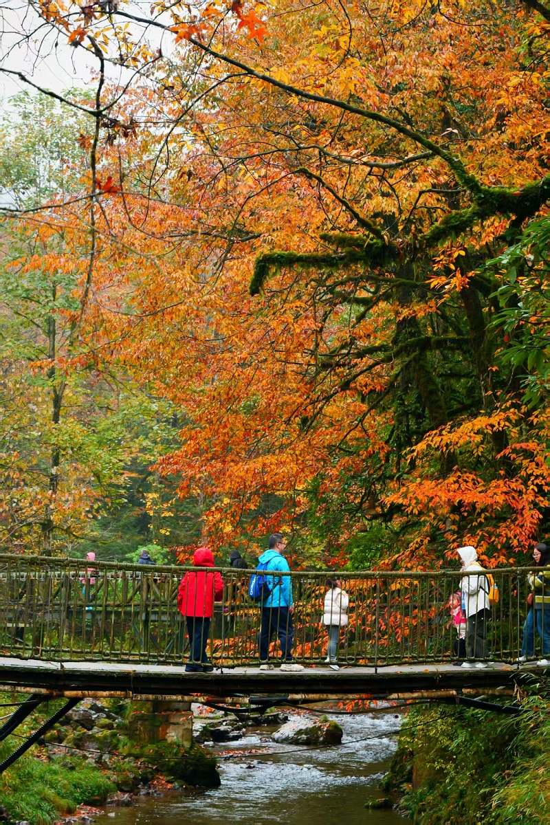 1763002417475521.jpg 187f04ce03fd3a9b16c044c41216331.jpg