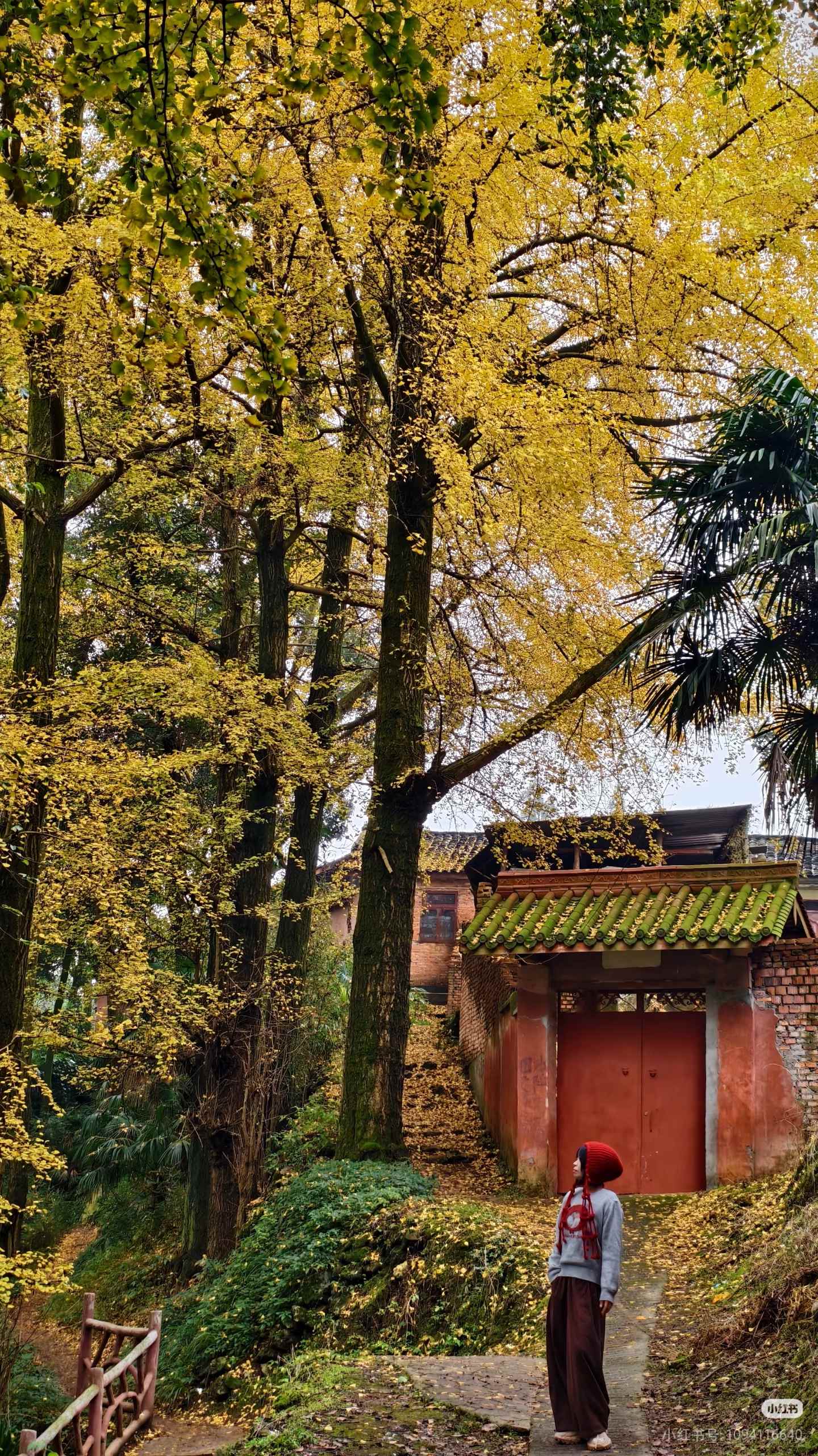 1763084658419333.jpg 微信图片_20251114094111.jpg