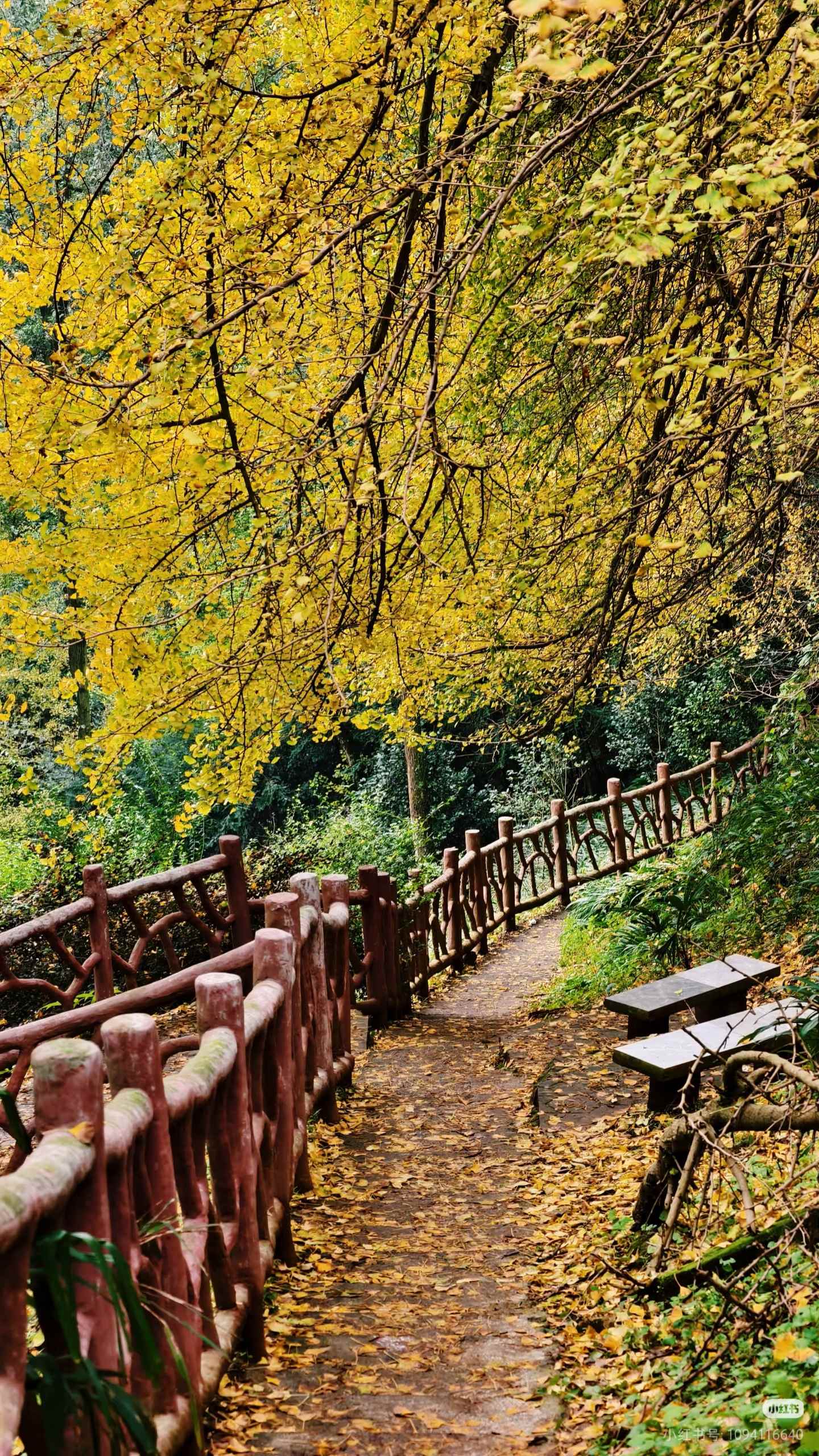 1763084661145996.jpg 微信图片_20251114094116.jpg