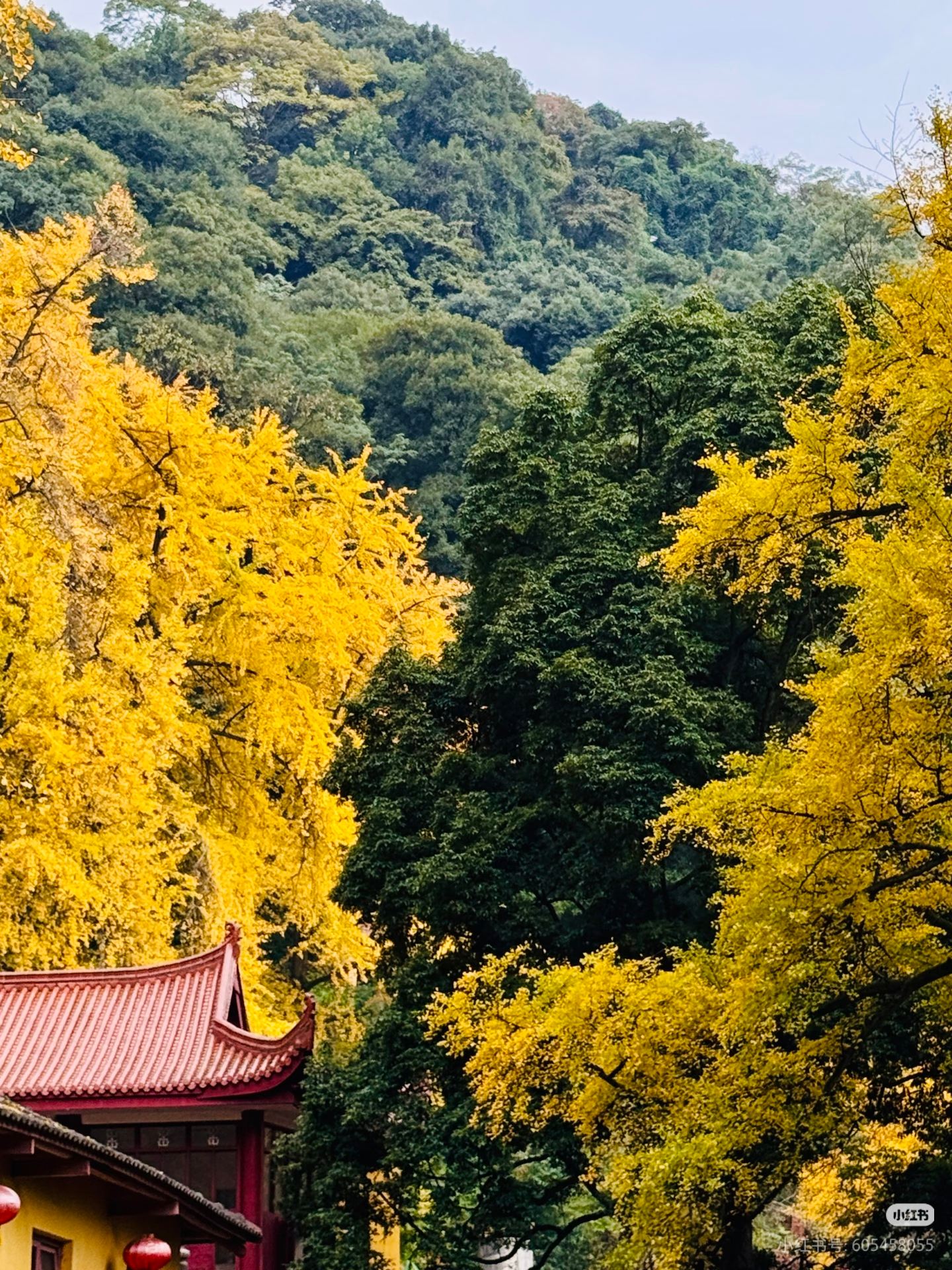 1763085743222946.jpg 微信图片_20251114094249.jpg