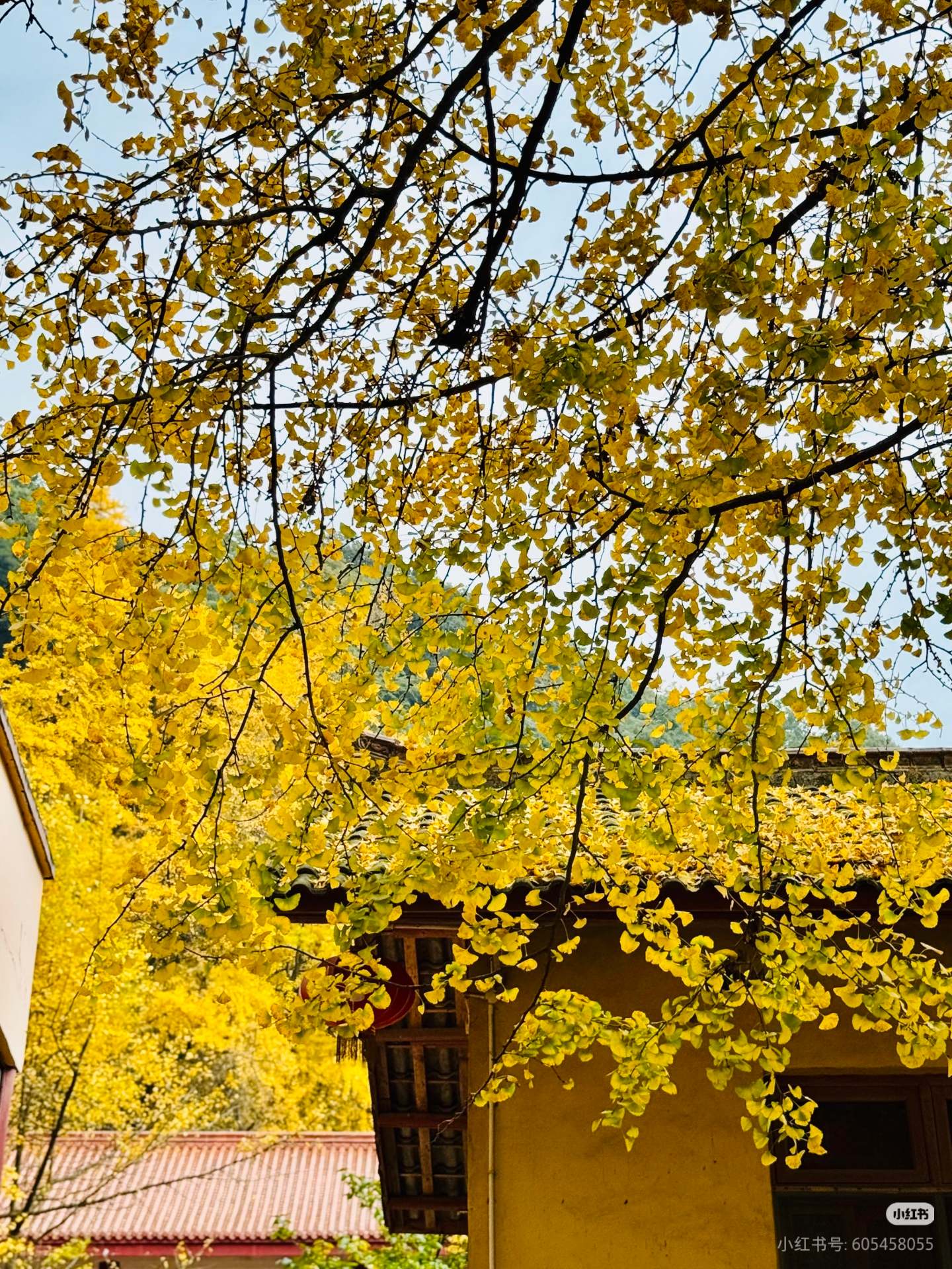 1763085747839394.jpg 微信图片_20251114094135.jpg