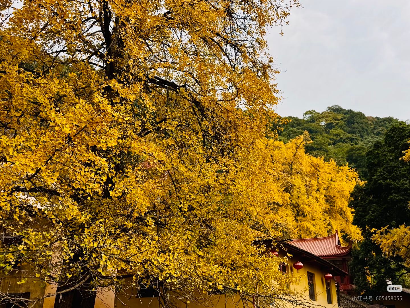 1763085751345425.jpg 微信图片_20251114094243.jpg