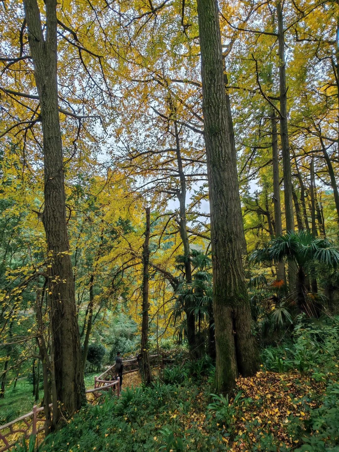 1763085803127135.jpg 微信图片_20251114100121.jpg