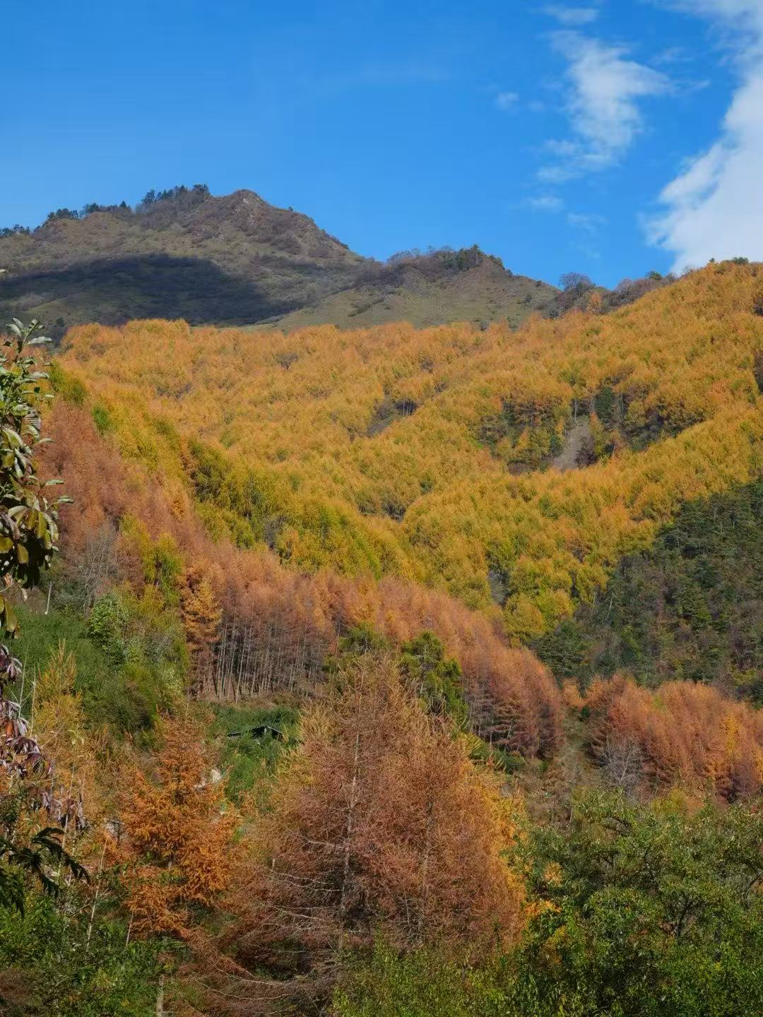 1763255542997896.jpg 微信图片_20251116090846.jpg