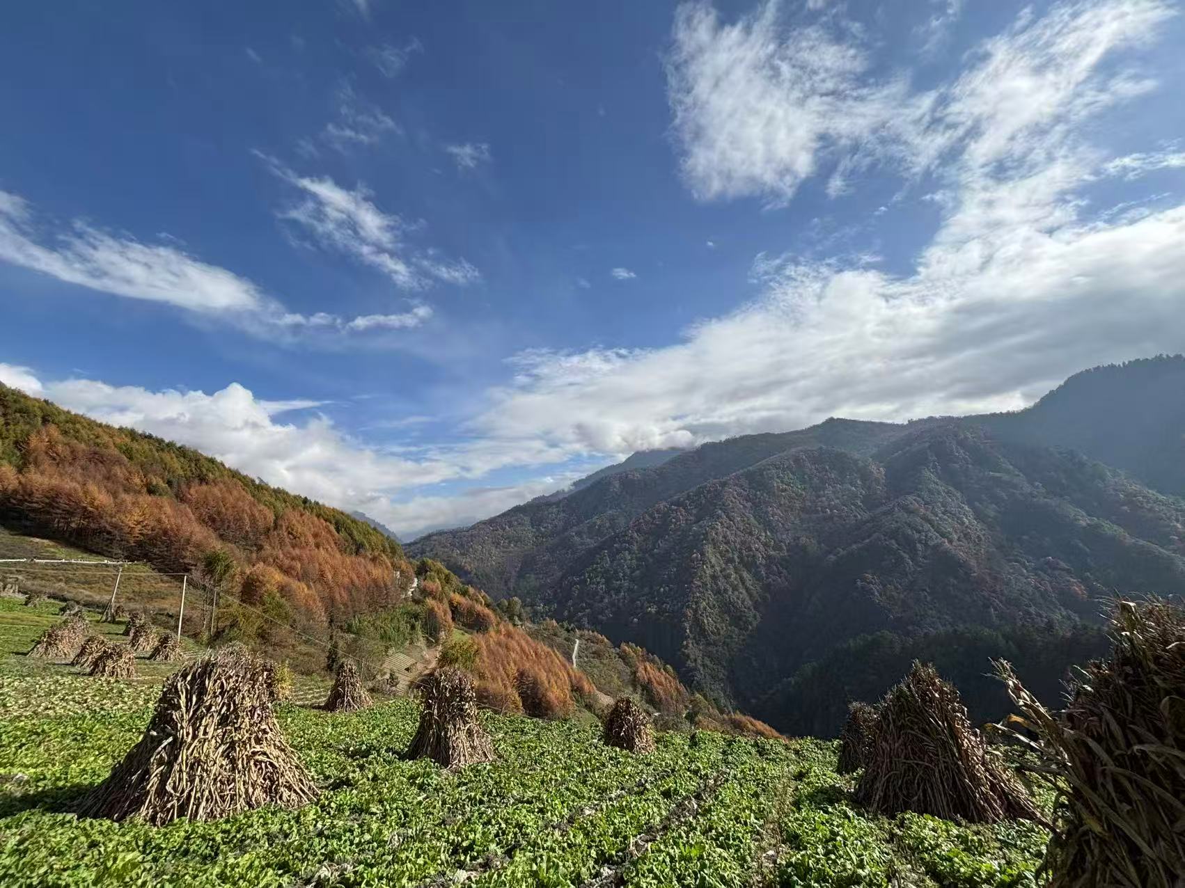 1763255860357343.jpg 微信图片_20251116091643.jpg