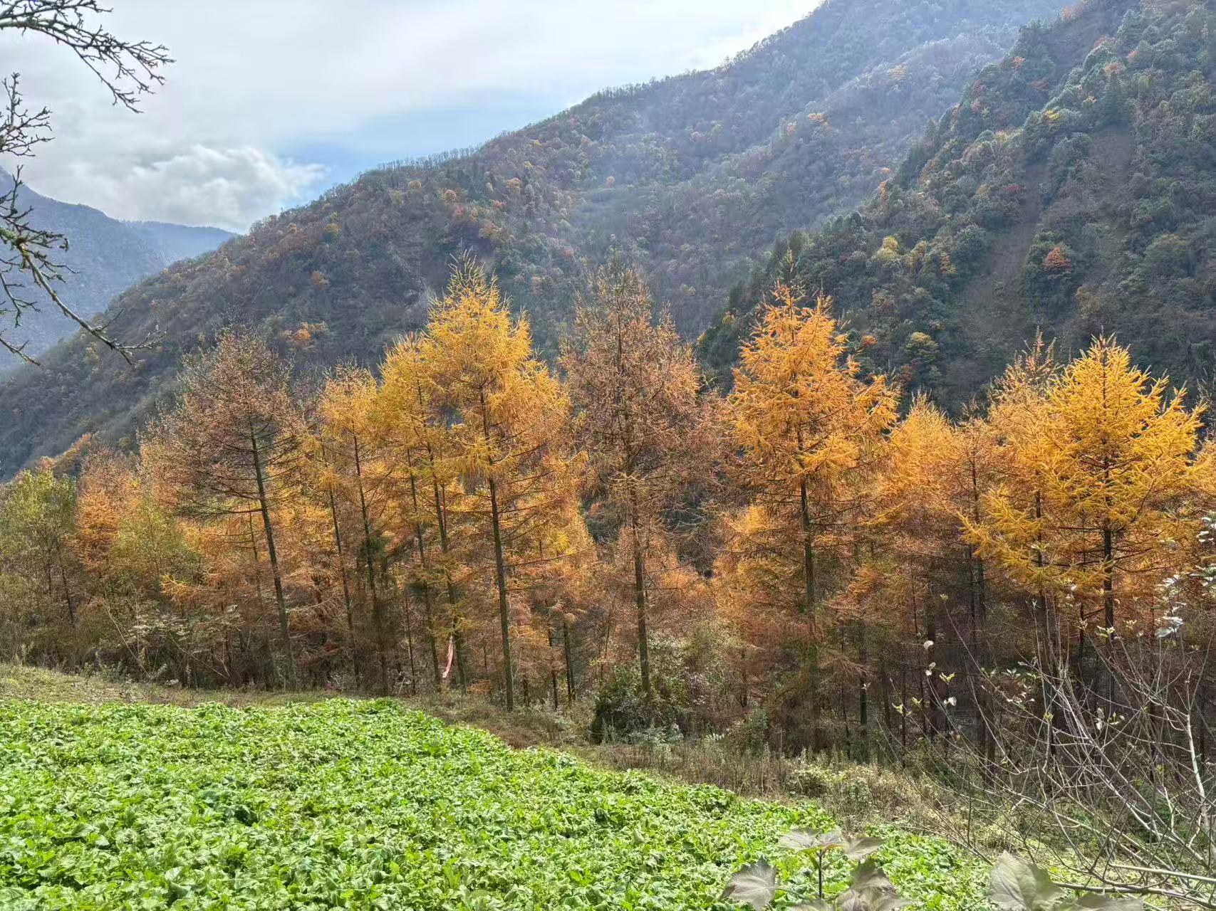 1763255863811745.jpg 微信图片_20251116091646.jpg