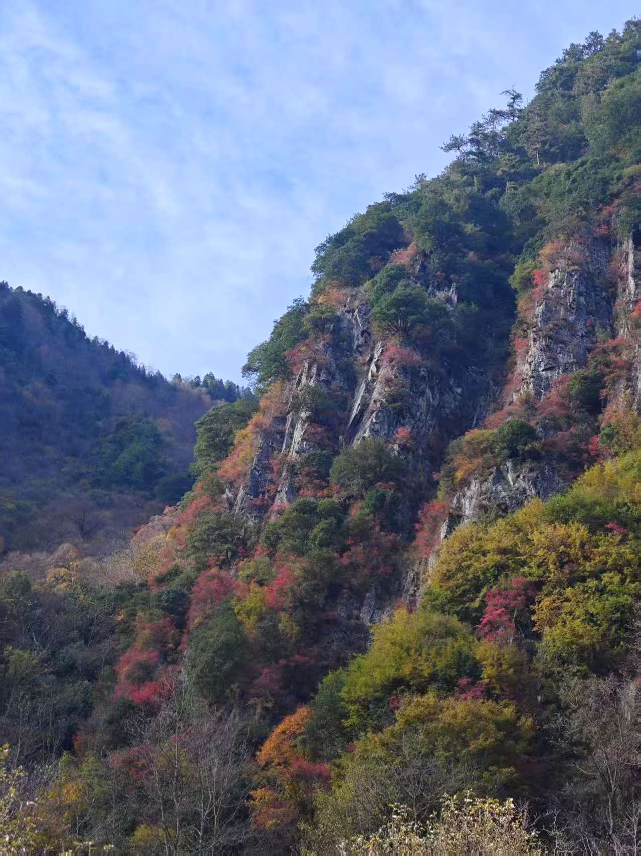 1763255950489420.jpg 微信图片_20251116091844.jpg