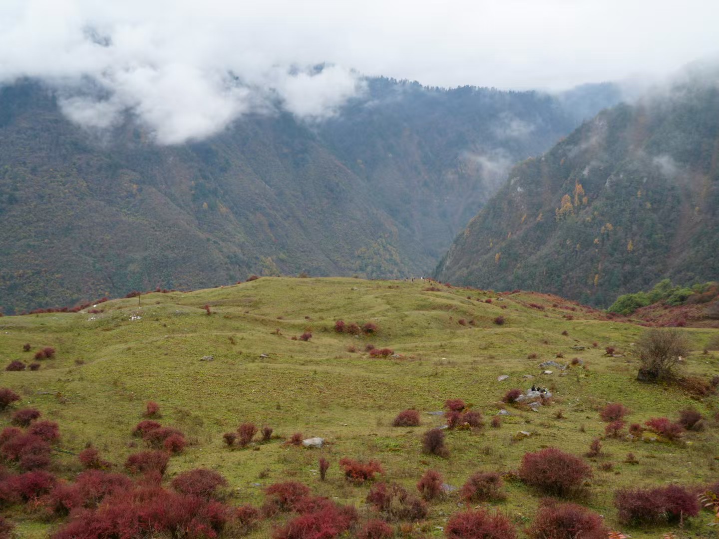 1763346089582640.jpg 3bcd1745850af57836e33c2635849f7.jpg