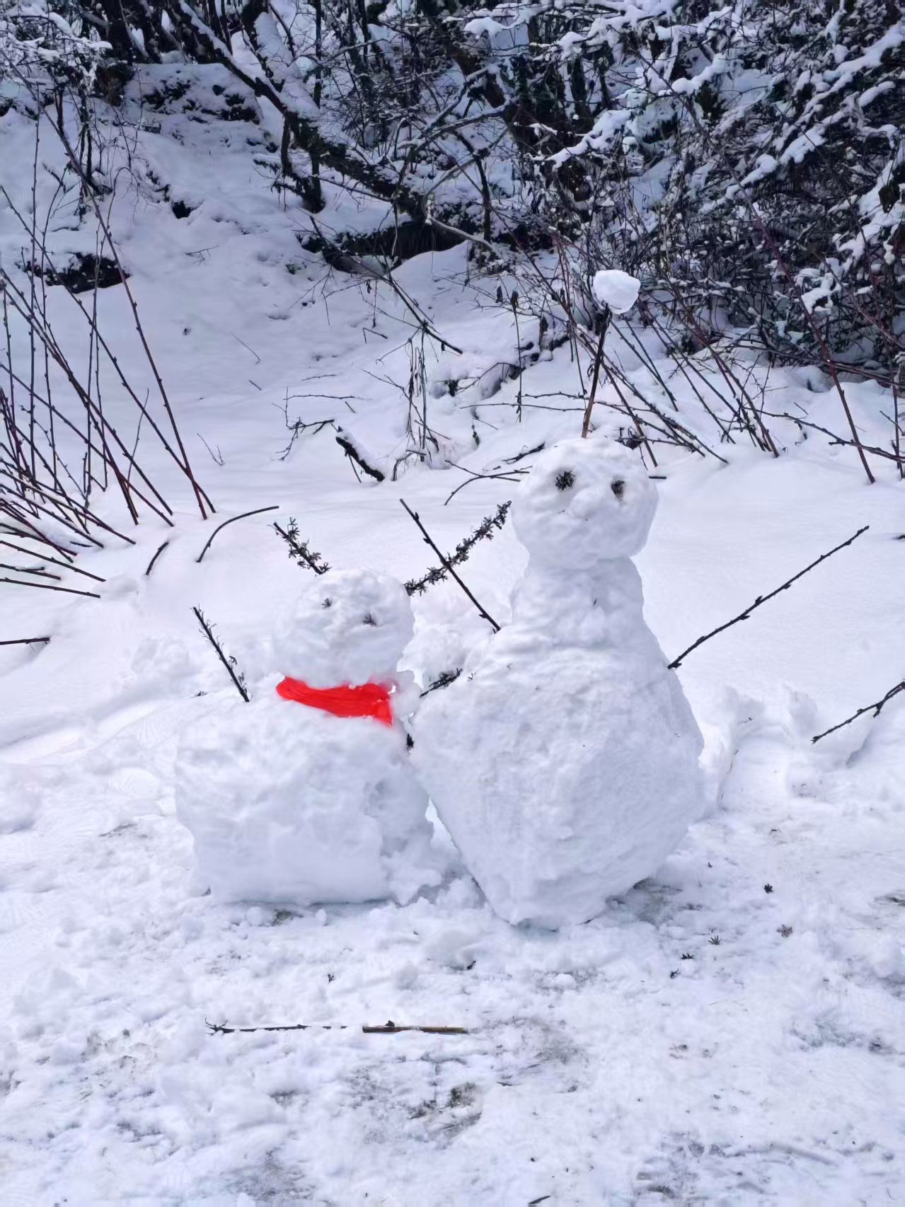 1763513669743524.jpg 微信图片_20251119085324.jpg