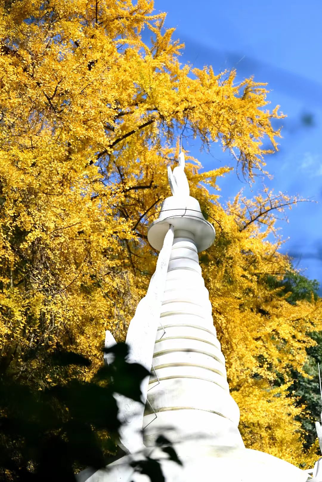 1763516132470252.jpg 48e0f7d82a4526e8cf510e94178ec21.jpg