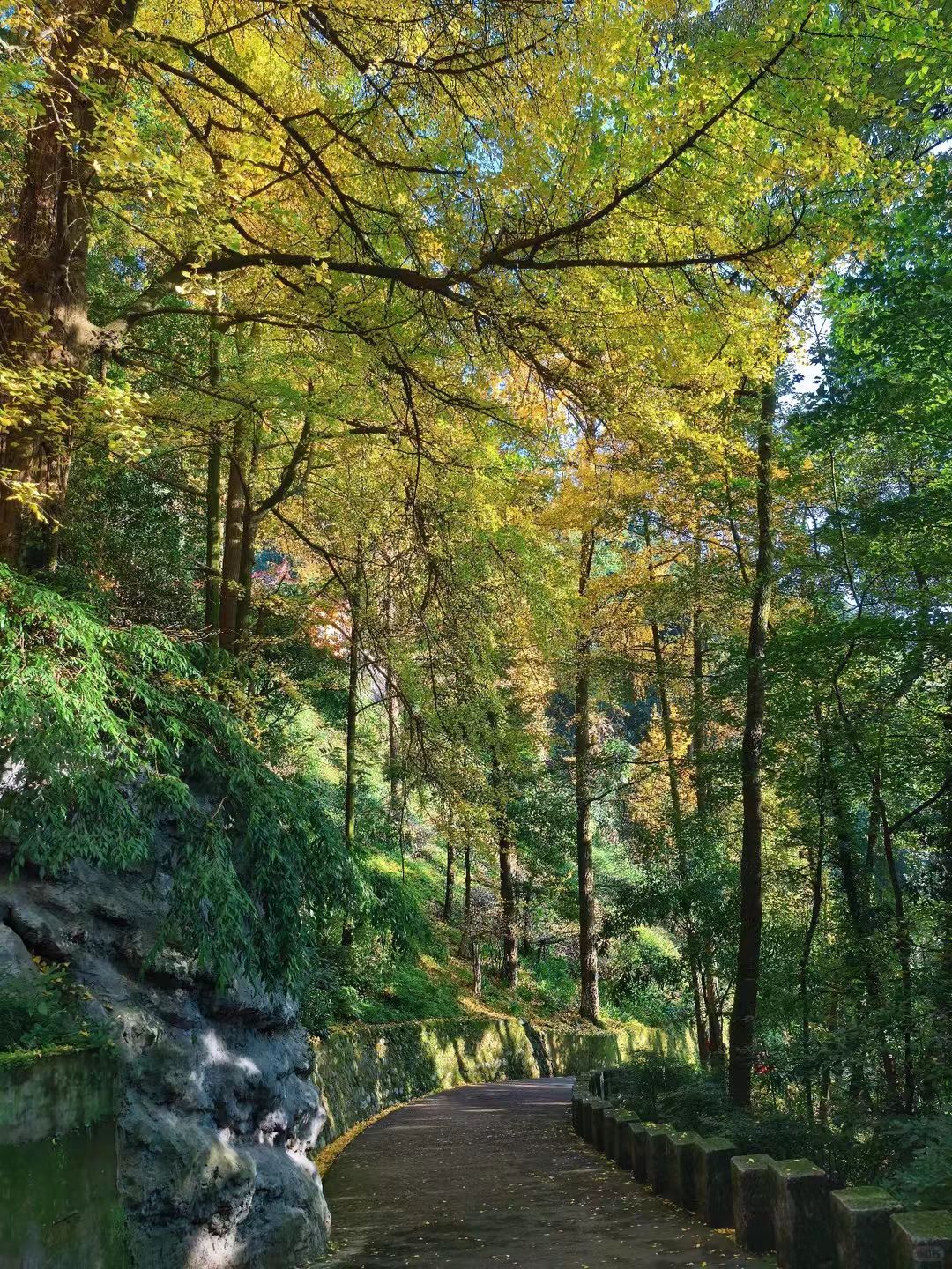 1763516159179095.jpg 8c3e50bffdb7c1f6e40d44dcb628058.jpg