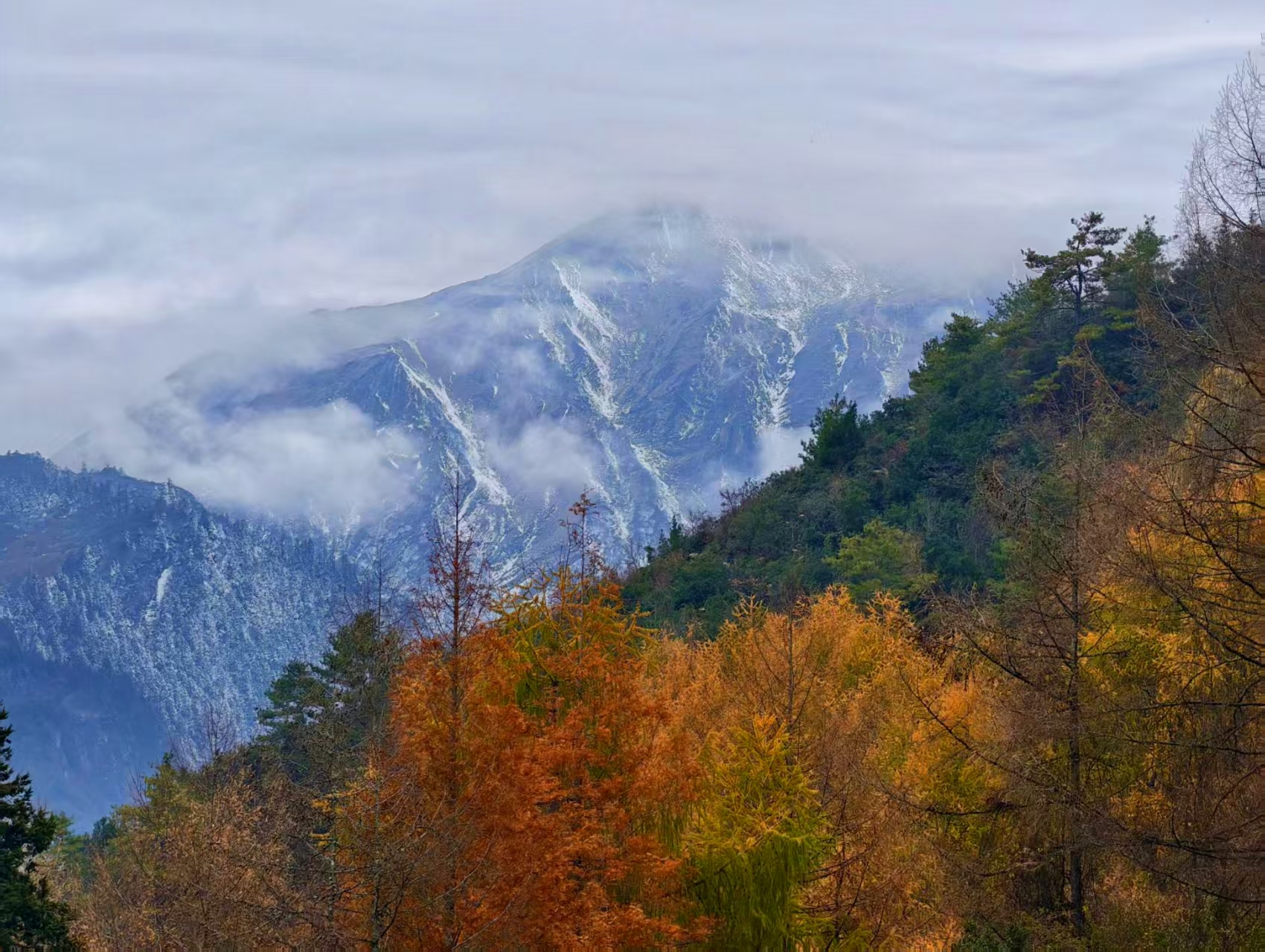 1763860262125319.jpg 微信图片_20251123090941.jpg