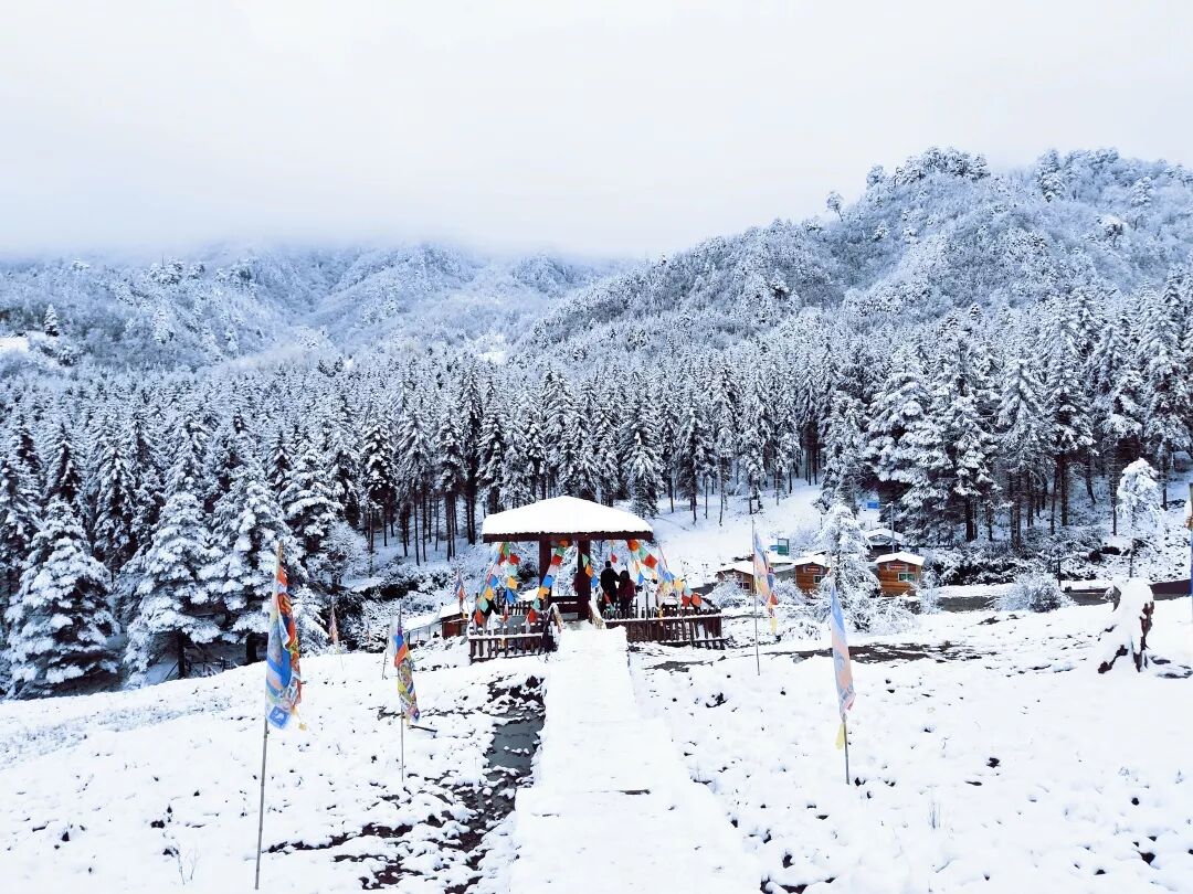 1763973175532188.jpg 微信图片_2025-11-24_161807_153.jpg