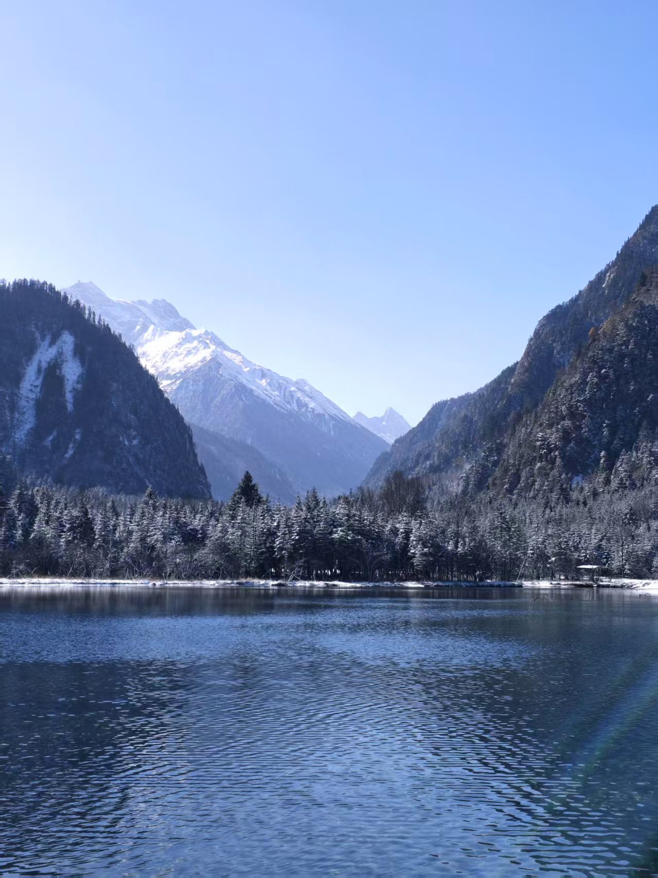 1764050318637947.jpg 9d343c63516a276aeb3b255d91cc793.jpg