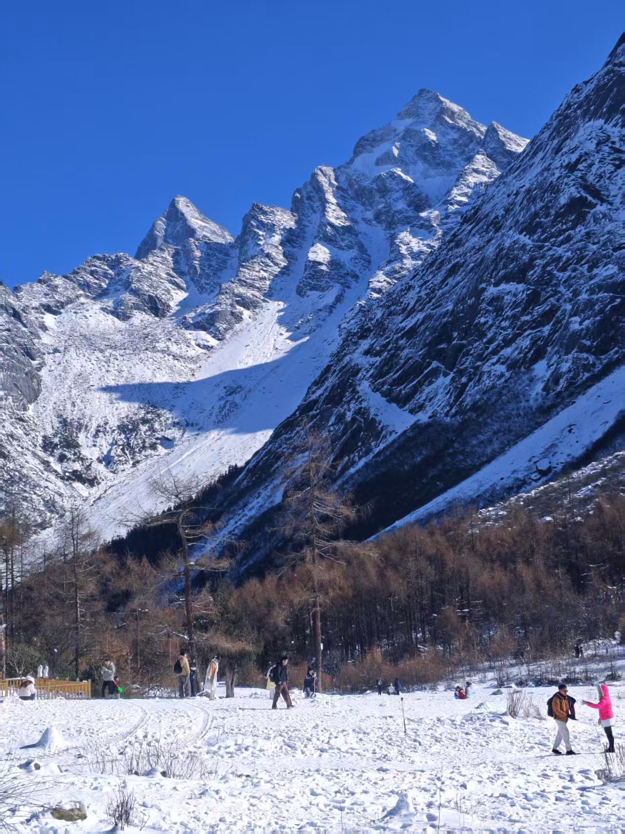 1764050341223373.jpg 32bc1357c03274e97a0415d6a713789.jpg