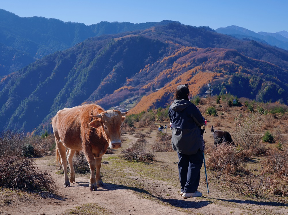 1764235580262820.jpg cce2863a16ed0370df79b429da560ec.jpg