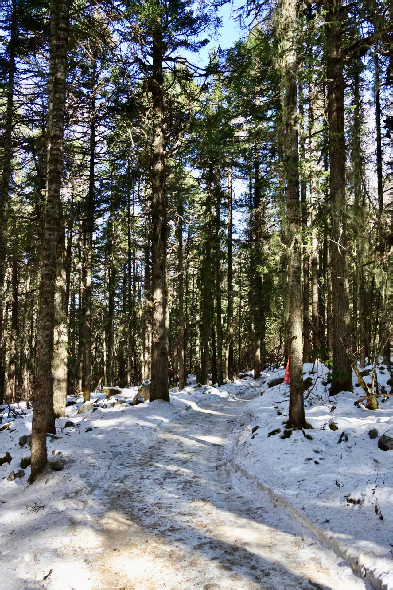 1764576629685261.jpg b80a8cfb0c389f130e67b02b0ac51de.jpg