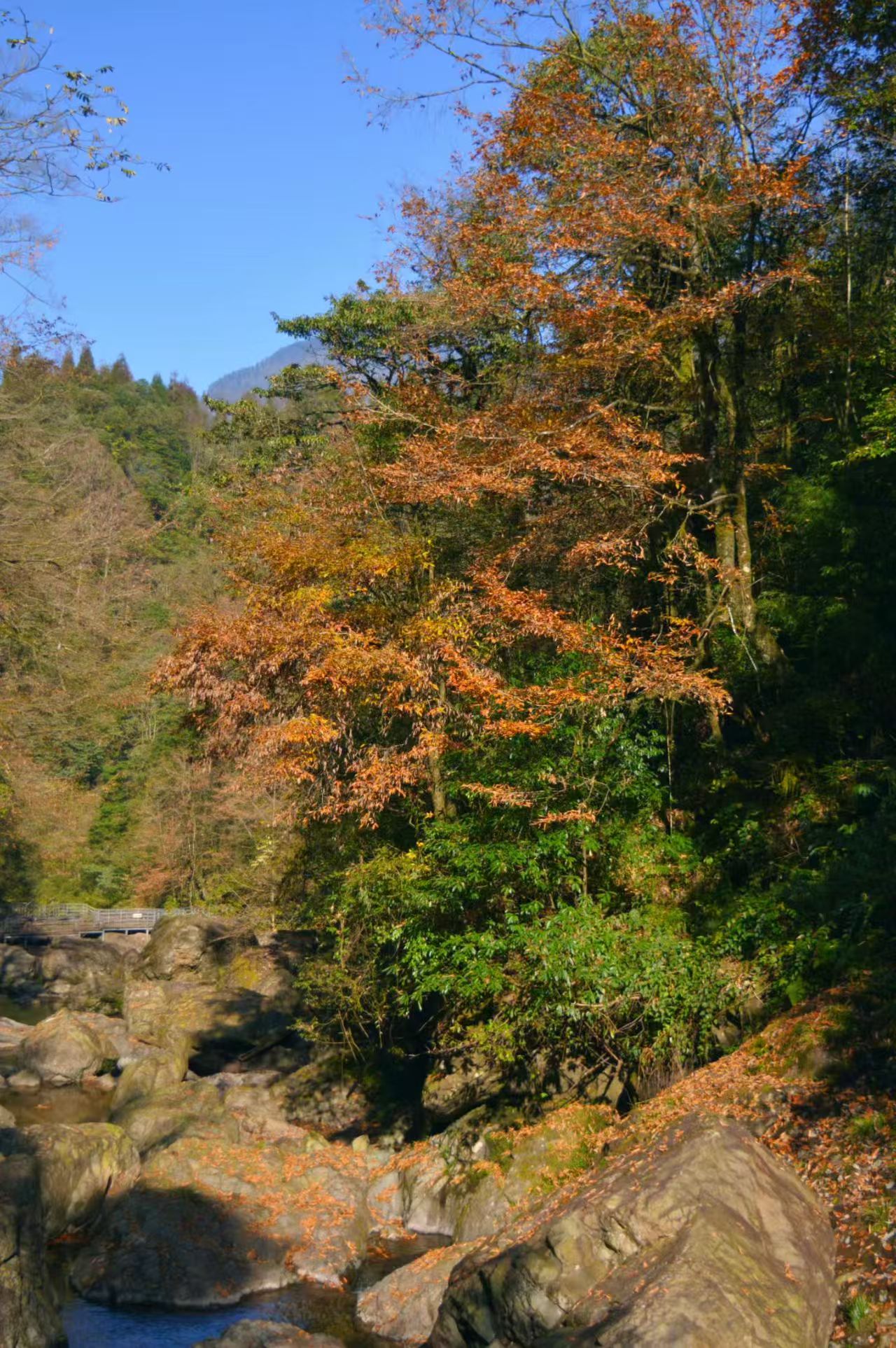 1764578814298082.jpg 10a5897841ed7ce250f10e97f5b98fa.jpg